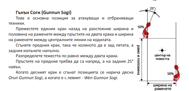 Гънън Соги — размери, посока на ходилата и разпределение на тежестта
