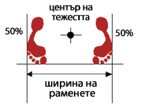 Нарани соги