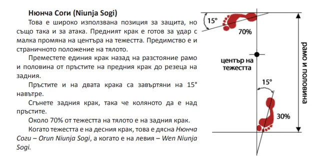 Нюнча Соги — размери, посока на ходилата и разпределение на тежестта